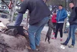 佛山罗村爆料最新消息今天,最新爆料揭示惊人真相！”
