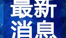 新会爆料小哥视频最新版,热点事件背后的真相与内幕
